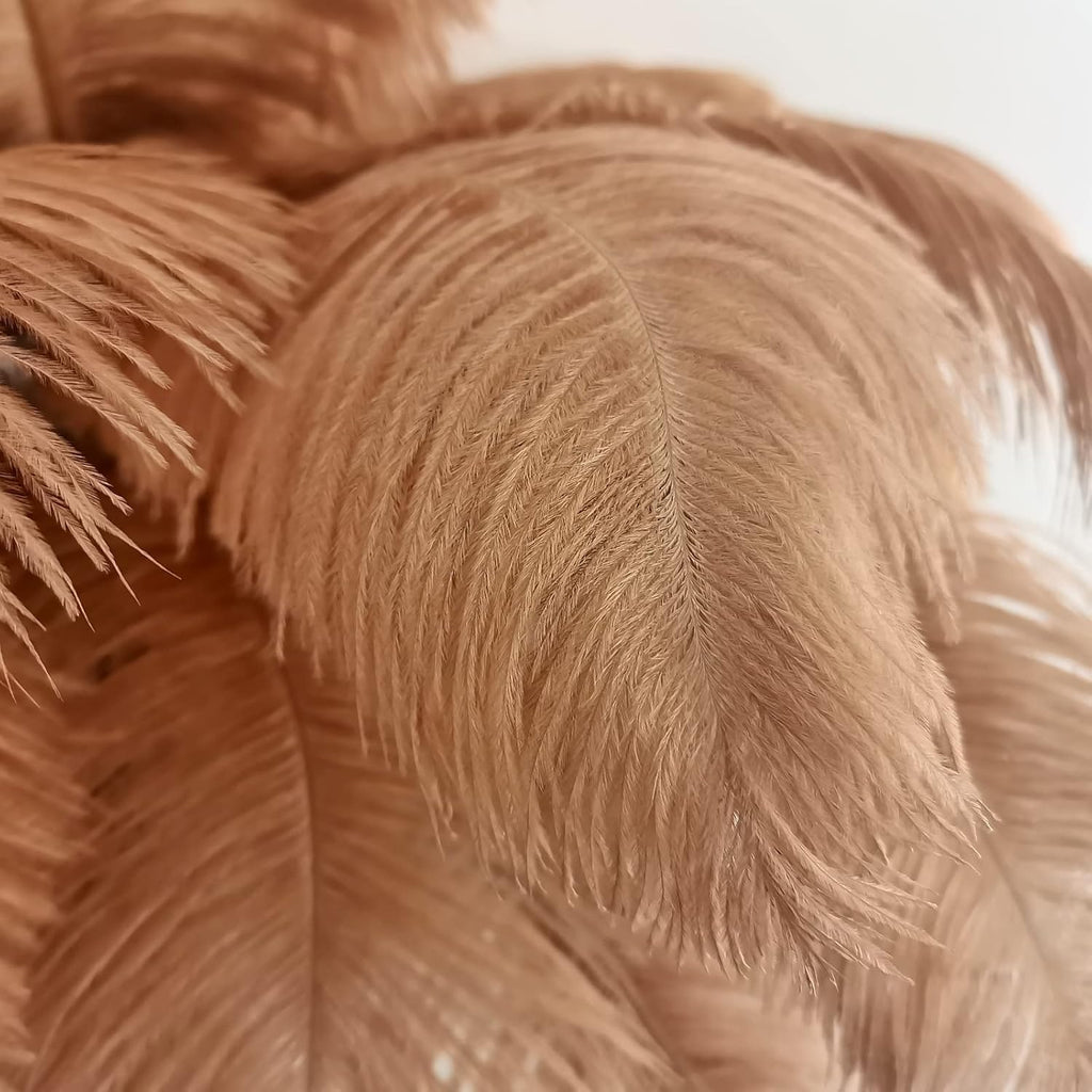 Lámpara De Pie Ostrich Plume Grandeur