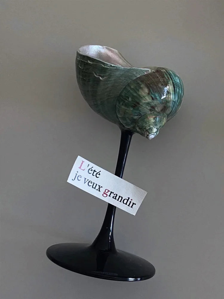 Copa de Cristal 'Nautilus' – Artesanía Nórdica y la Poética del Mar